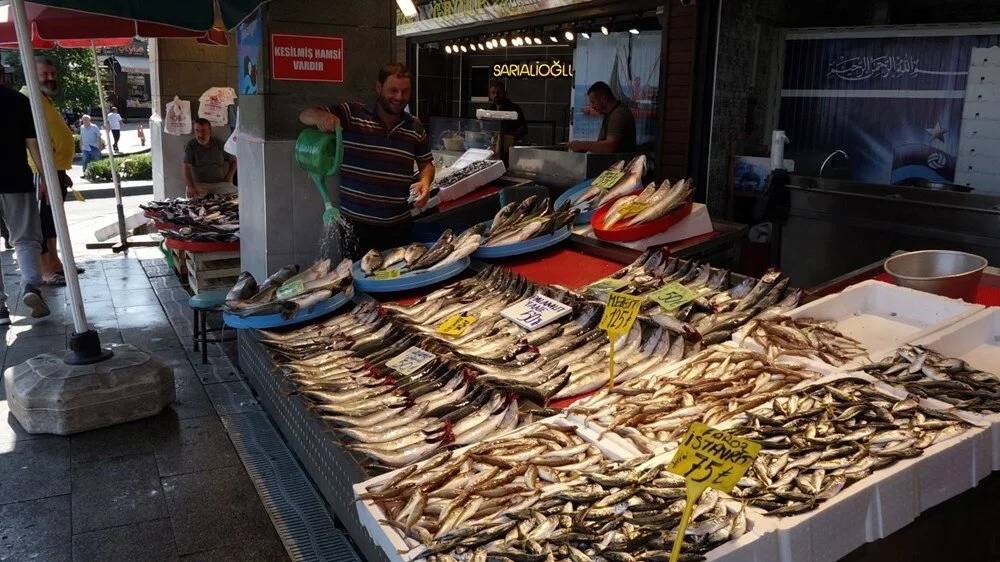 Balık yemek isteyen pazara koşsun! Tezgahlar palamut doldu 2